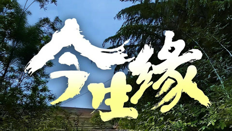 今生缘第1集