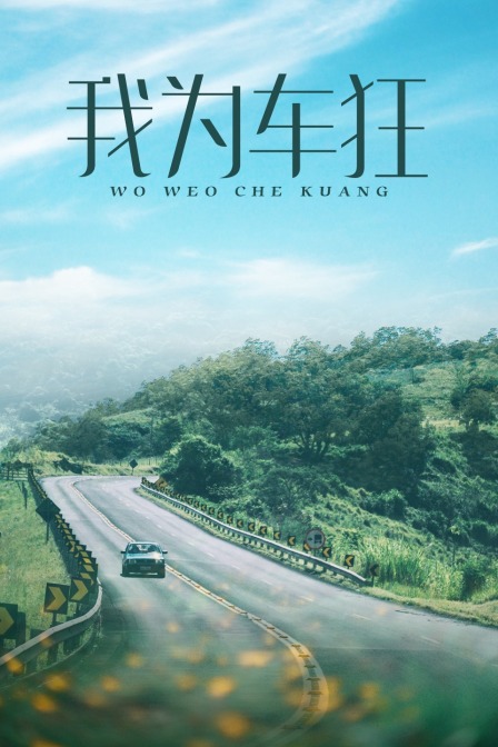 我为车狂