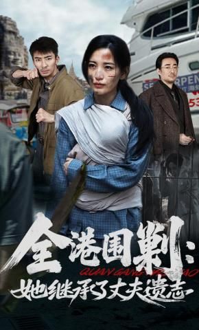 全港围剿她继承了丈夫遗志