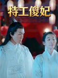 特工傻妃