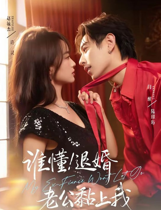 谁懂!退婚老公黏上我