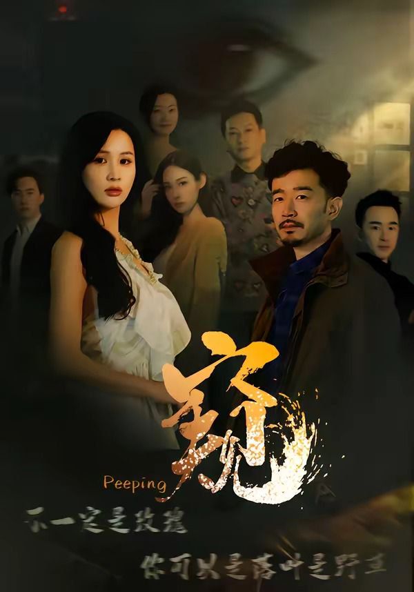 窥(窥伺)